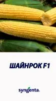 Шайнрок (кукуруза сах.) 1кг